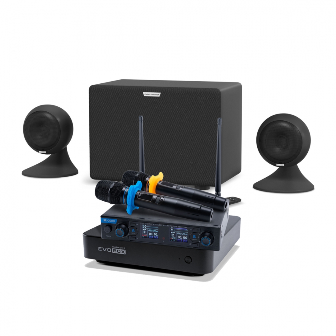 караоке-комплект EVOBOX + EvoSound Sphere 2.1 в Барабинске