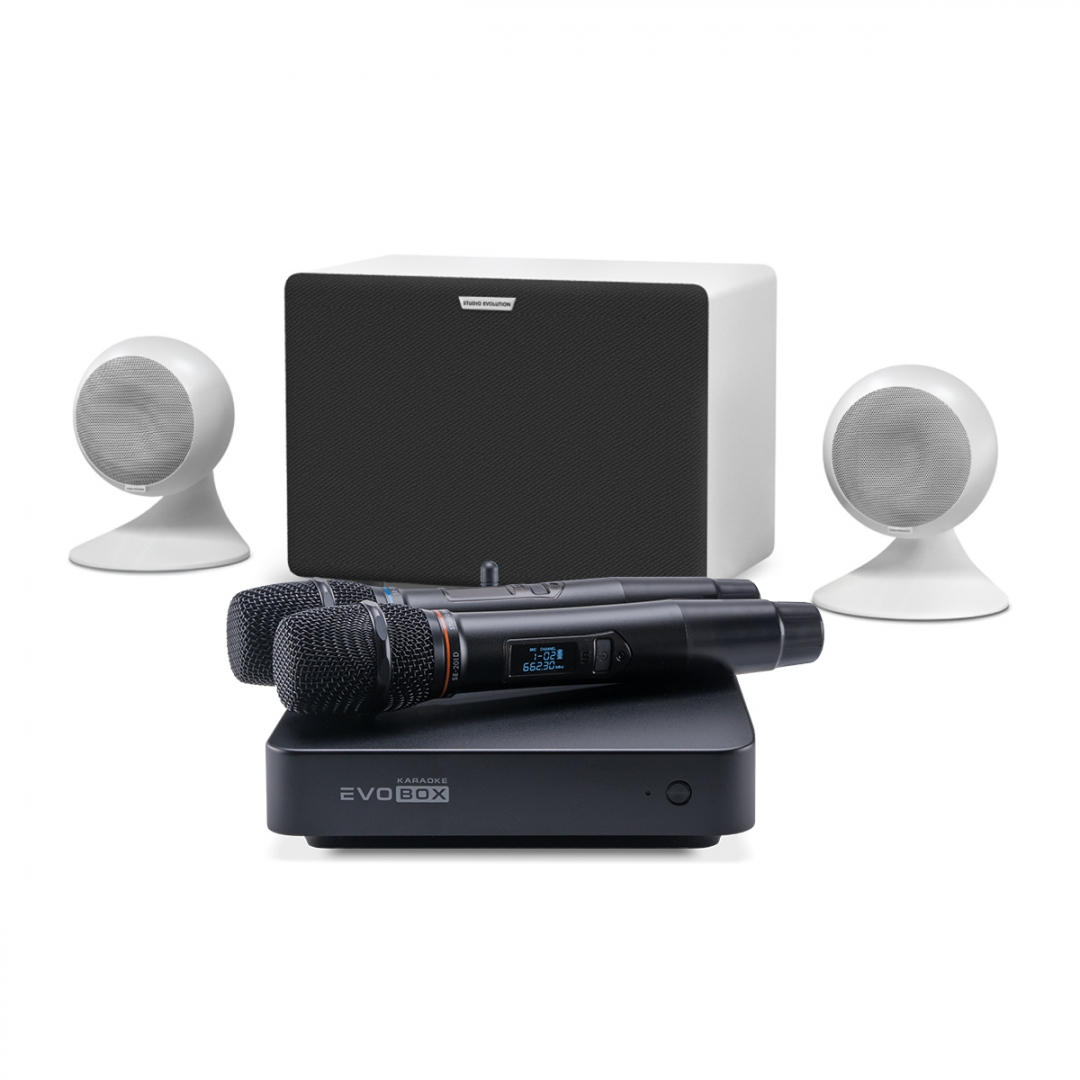караоке-комплект EVOBOX Classic + EvoSound Sphere 2.1 в Барабинске