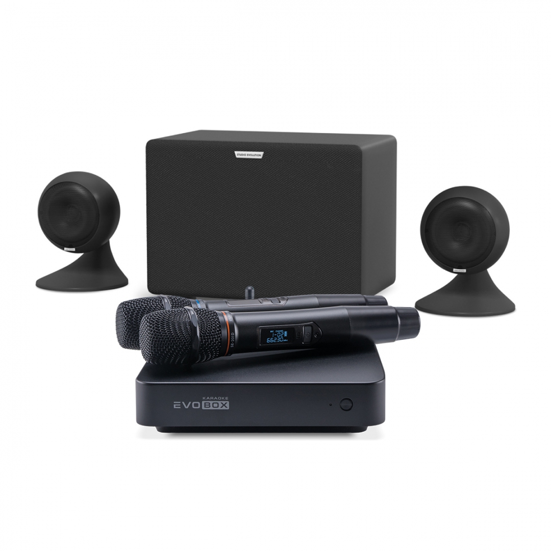 караоке-комплект EVOBOX Plus + EvoSound Sphere 2.1 в Барабинске