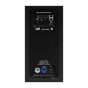Активная акустическая система AST-310A в Барабинске