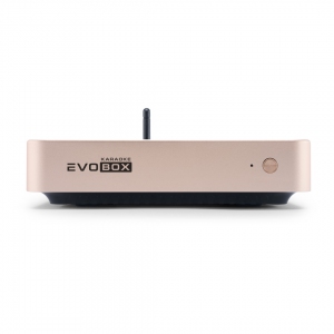 EVOBOX Plus караоке-система для дома в Барабинске