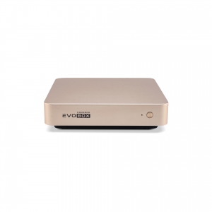 EVOBOX с микрофонами в Барабинске